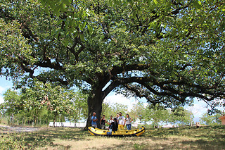 Rafting Canyon presso River Tribe a Laino Borgo in provincia di Cosenza