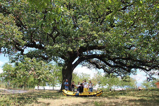 Rafting Canyon presso River Tribe a Laino Borgo in provincia di Cosenza