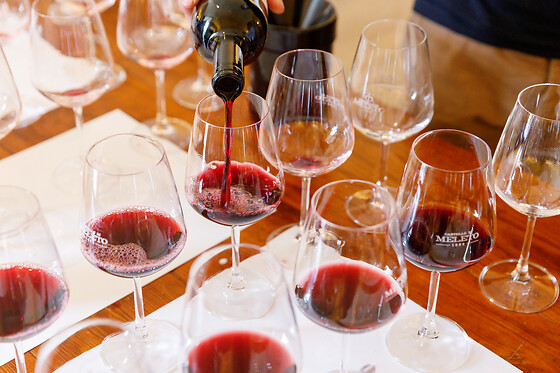 Visita guidata e degustazione di vini presso il Castello di Meleto in provincia di Siena