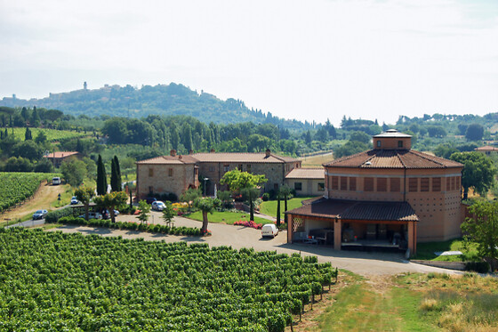 Visita ai vigneti e alla cantina con degustazione guidata di vini presso Tenuta Santavenere a Montepulciano