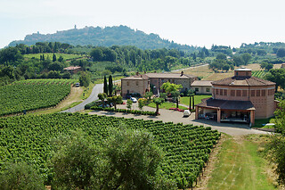 Visita ai vigneti e alla cantina con degustazione guidata di vini presso Tenuta Santavenere a Montepulciano