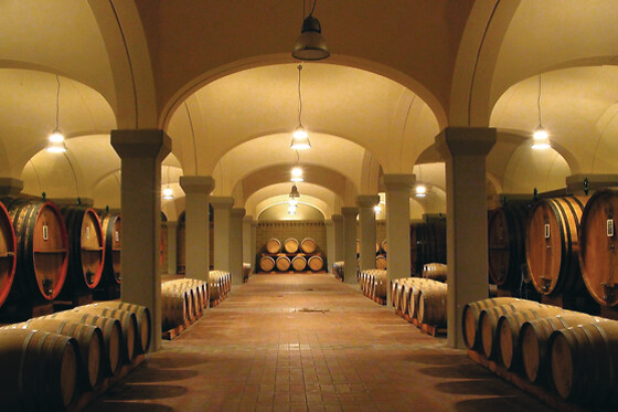 Visita ai vigneti e alla cantina con degustazione guidata di vini presso Tenuta Santavenere a Montepulciano