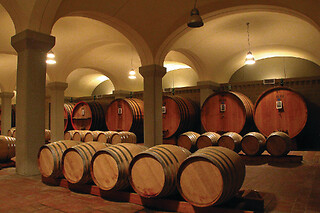Visita ai vigneti e alla cantina con degustazione guidata di vini presso Tenuta Santavenere a Montepulciano