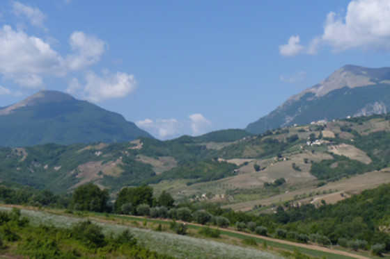 Agriturismo il Vecchio Carro - photo 4