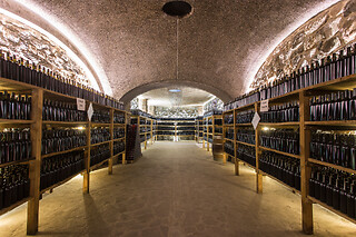 Visita guidata e degustazione di vini presso la Cantina Il Poggio nei pressi di Salsomaggiore Terme in provincia di Parma