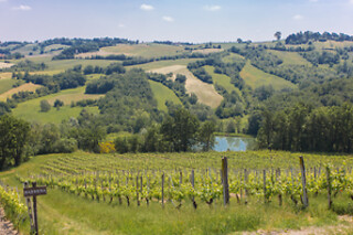 Visita guidata e degustazione di vini presso la Cantina Il Poggio nei pressi di Salsomaggiore Terme in provincia di Parma