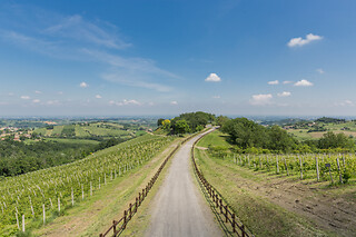 Visita guidata e degustazione di vini presso la Cantina Il Poggio nei pressi di Salsomaggiore Terme in provincia di Parma