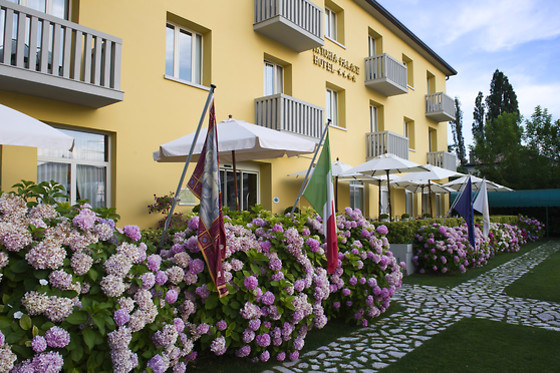 Viktoria Palace Hotel - photo 8