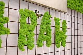 Pranzo per due presso Raw Vegan Firenze