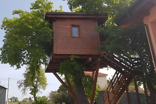 Soggiorno insolito di una notte nella casa sull'albero presso Domus Quarticelli in provincia di Chieti