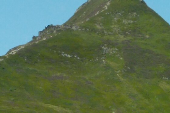 Randorespi - photo 8