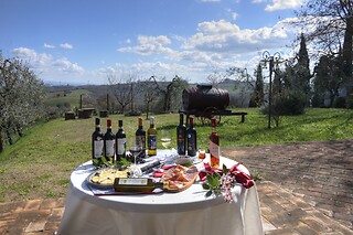 Visita della cantina con degustazione e bottiglia presso Azienda Agricola Tamburini in provincia di Firenze
