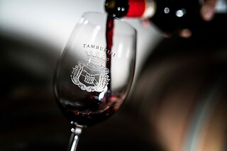 Visita della cantina con degustazione e bottiglia presso Azienda Agricola Tamburini in provincia di Firenze