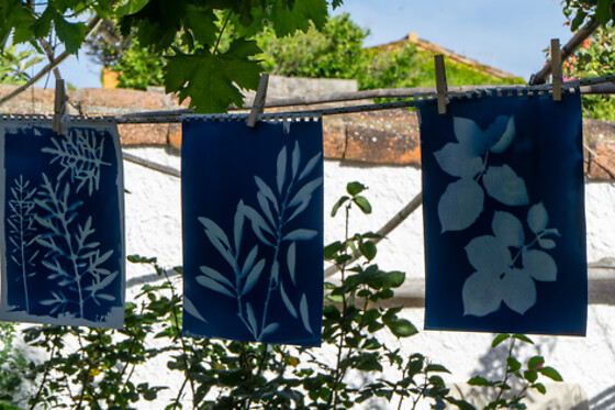 Ora Blu Lab - photo 2