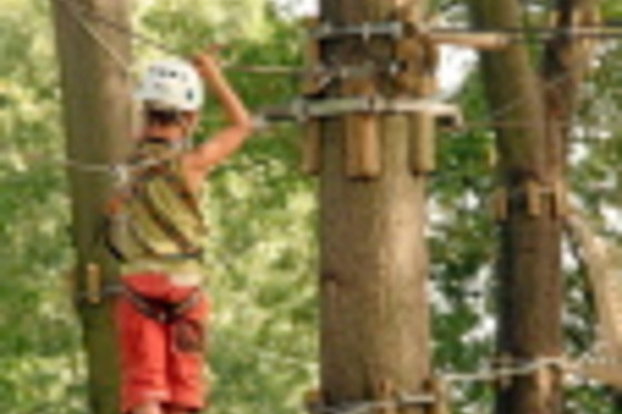 Forêt adrénaline rennes gayeulles - photo 12