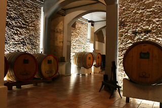 Visita di cantina e vigneti con degustazione presso Cantina Peri Bigogno in provincia di Brescia