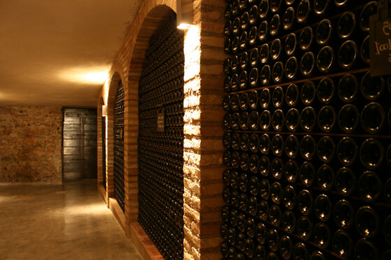 Visita di cantina e vigneti con degustazione presso Cantina Peri Bigogno in provincia di Brescia