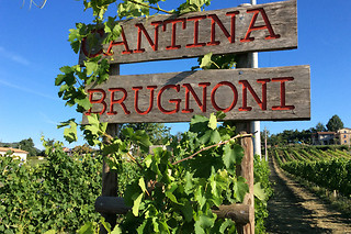 Degustazione di due calici di vino e prodotti tipici umbri alla Cantina Brugnoni a Perugia