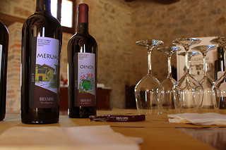 Degustazione di due calici di vino e prodotti tipici umbri alla Cantina Brugnoni a Perugia