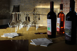 Degustazione di due calici di vino e prodotti tipici umbri alla Cantina Brugnoni a Perugia