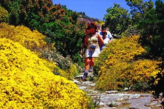 Attività sportiva all'Isola d'Elba presso Il Viottolo Trekking