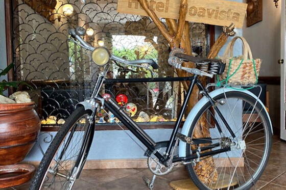 Hotel Boavista - Vintage House - photo 12
