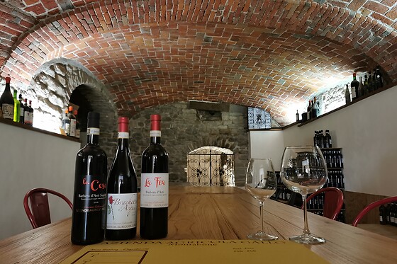 Visita della cantina con degustazione vini presso l'Azienda Agricola Gallo Montabone in provincia di Asti