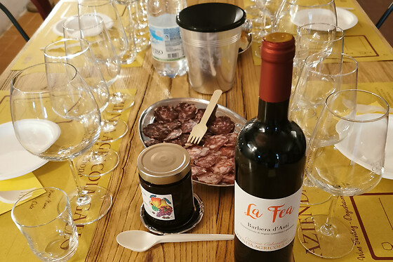 Visita della cantina con degustazione vini presso l'Azienda Agricola Gallo Montabone in provincia di Asti