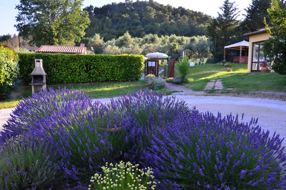 Soggiorno relax di 2 notti in provincia di Perugia da Nonna Rana & Altrove Country Spa