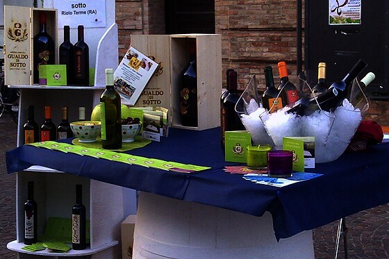Ricca degustazione di prodotti tipici con vino all'Agriturismo Il Gualdo di Sotto in provincia di Ravenna