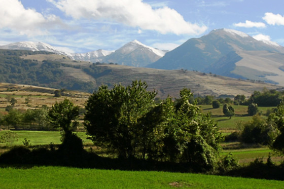 Affittacamere Locanda della Corte - photo 5