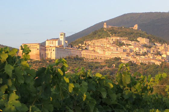 Saio Assisi - photo 2