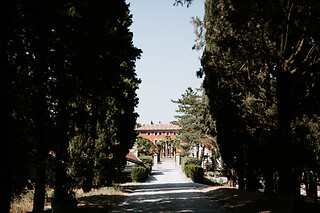 Visita del caveau della cantina Venturini Baldini con degustazione di vini biologici e tagliere a Roncolo in provincia di Reggio Emilia