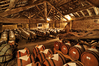 Visita del caveau della cantina Venturini Baldini con degustazione di vini biologici e tagliere a Roncolo in provincia di Reggio Emilia