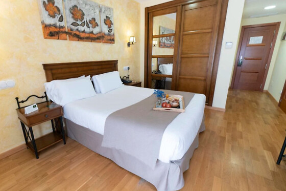 HOTEL COMENDADOR SPA - photo 14