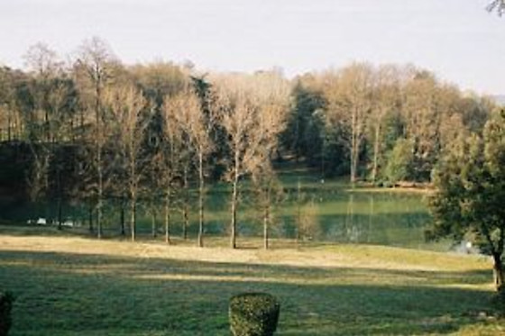 Villa Castelletti - photo 3