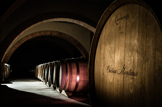 Château Montana - photo 1