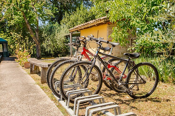 Soggiorno di una notte in famiglia presso Agriturismo La Mora in provincia di Perugia