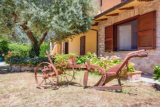 Soggiorno di una notte in famiglia presso Agriturismo La Mora in provincia di Perugia