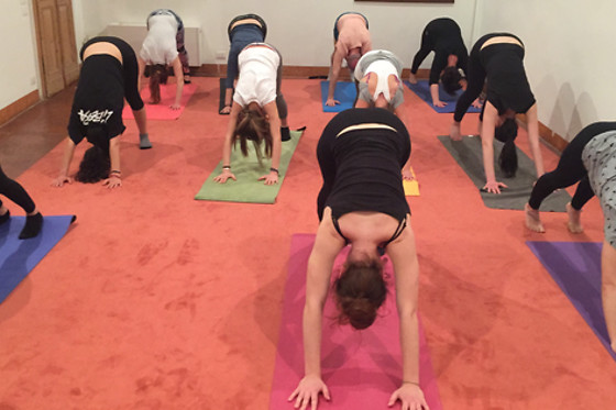 Due lezioni di gruppo di Ashtanga Vinyasa Yoga al Centro Yoga Namaste a Venezia
