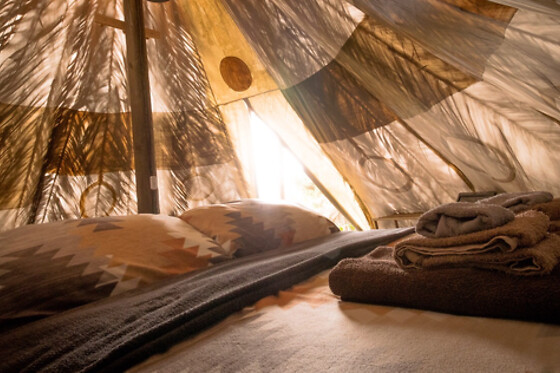 STUDIO MAZO THE GLAMPING - photo 4