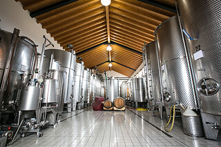 Visita alla cantina con degustazione di tre vini all'Azienda Agricola De Riz in provincia di Treviso