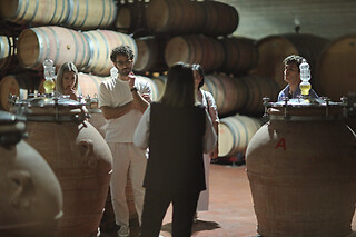 Visita alla cantina con degustazione di vini presso Az. Agricola Conti Zecca in provincia di Lecce