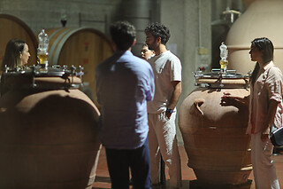Visita alla cantina con degustazione di vini presso Az. Agricola Conti Zecca in provincia di Lecce