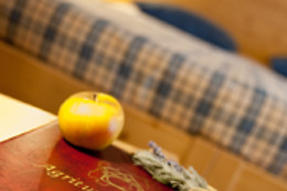 Agritur Renetta