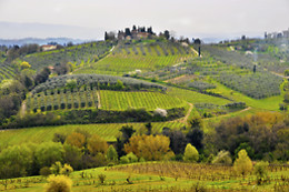 La Spiga