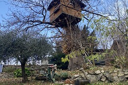Il Mirtillo Azienda Agricola