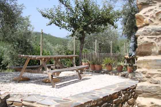 ALDEIA OLIVEIRAS - photo 8