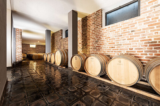 Visita della cantina e degustazione di vini presso Cantina Fabrizio Battaglino in provincia di Cuneo