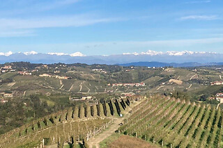 Visita della cantina e degustazione di vini presso Cantina Fabrizio Battaglino in provincia di Cuneo